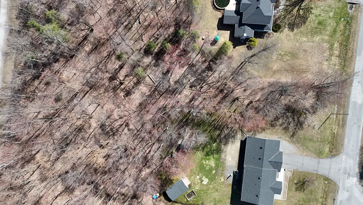 Property Line 4