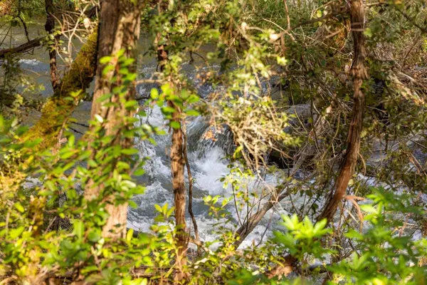 17422 Scopar RD, Grass Valley, CA 95949