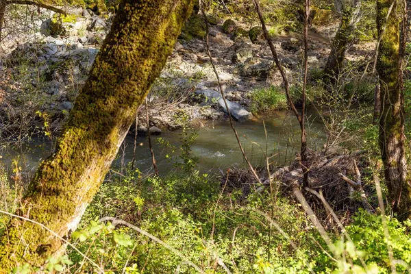 17422 Scopar RD, Grass Valley, CA 95949