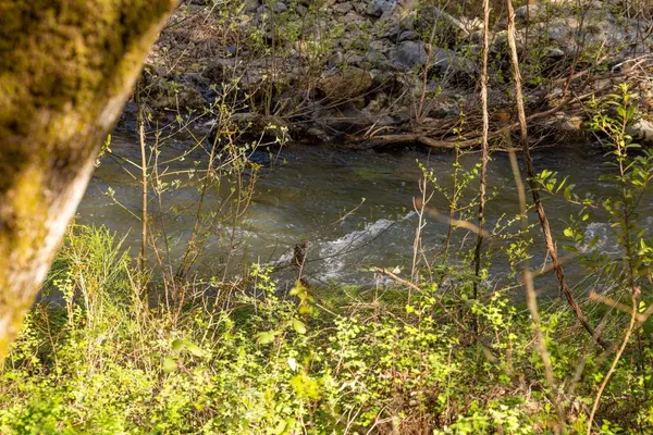 17422 Scopar RD, Grass Valley, CA 95949