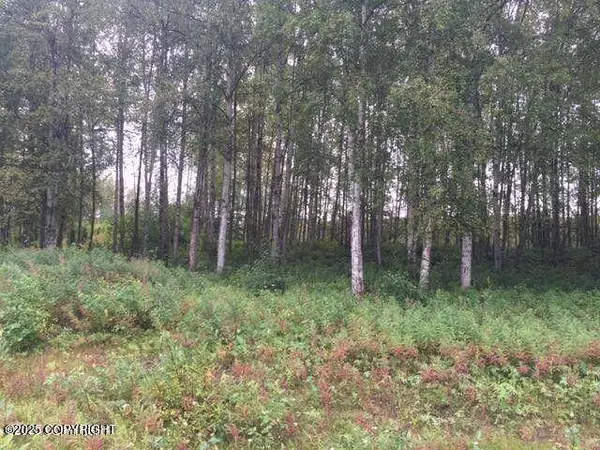 13601 S Knik-Goose Bay RD, Wasilla, AK 99654