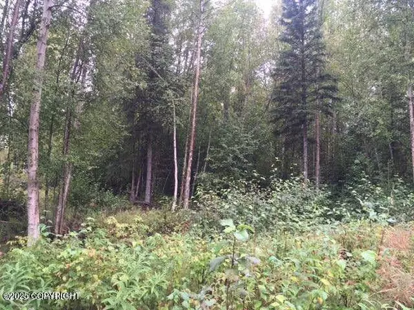 13601 S Knik-Goose Bay RD, Wasilla, AK 99654