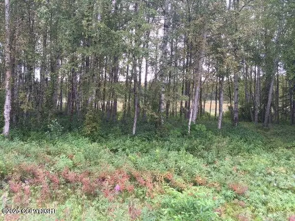 13601 S Knik-Goose Bay RD, Wasilla, AK 99654