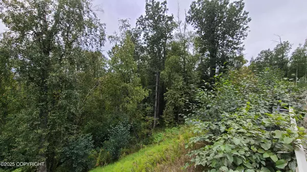 4248 W Little Rain RD, Wasilla, AK 99623