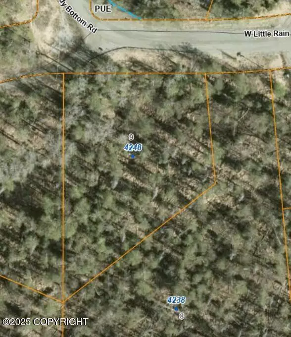 4248 W Little Rain RD, Wasilla, AK 99623