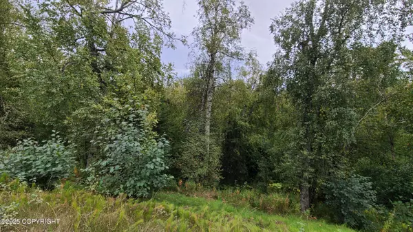 4248 W Little Rain RD, Wasilla, AK 99623