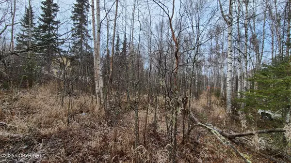 9111 W Sammie CIR, Wasilla, AK 99623