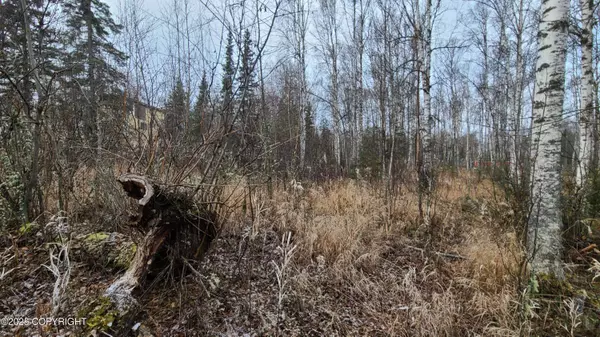 9111 W Sammie CIR, Wasilla, AK 99623