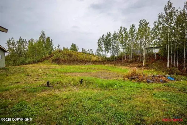 1201 S Lazy Lake DR, Big Lake, AK 99652