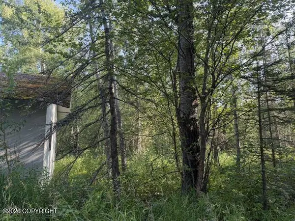 4451 E Merrill CIR, Wasilla, AK 99654