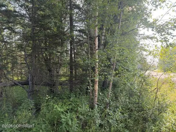 4451 E Merrill CIR, Wasilla, AK 99654