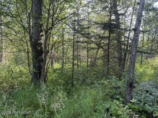 4451 E Merrill CIR, Wasilla, AK 99654