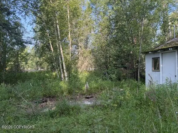 4451 E Merrill CIR, Wasilla, AK 99654