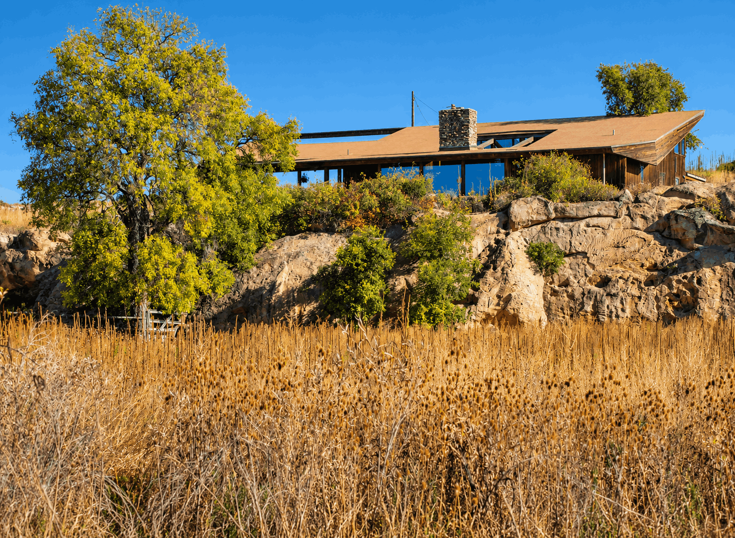 Boulder County home with surrounding vegetation illustrating wildfire mitigation considerations