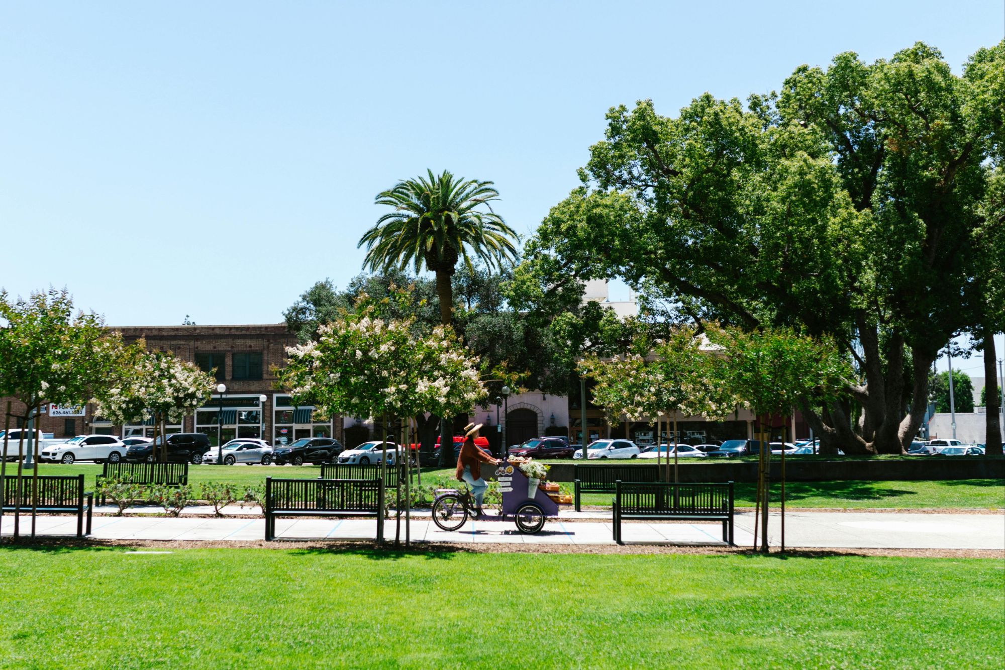 Boulder CO park scene with cyclist and blooming trees in a park representing lifestyle in Boulder.