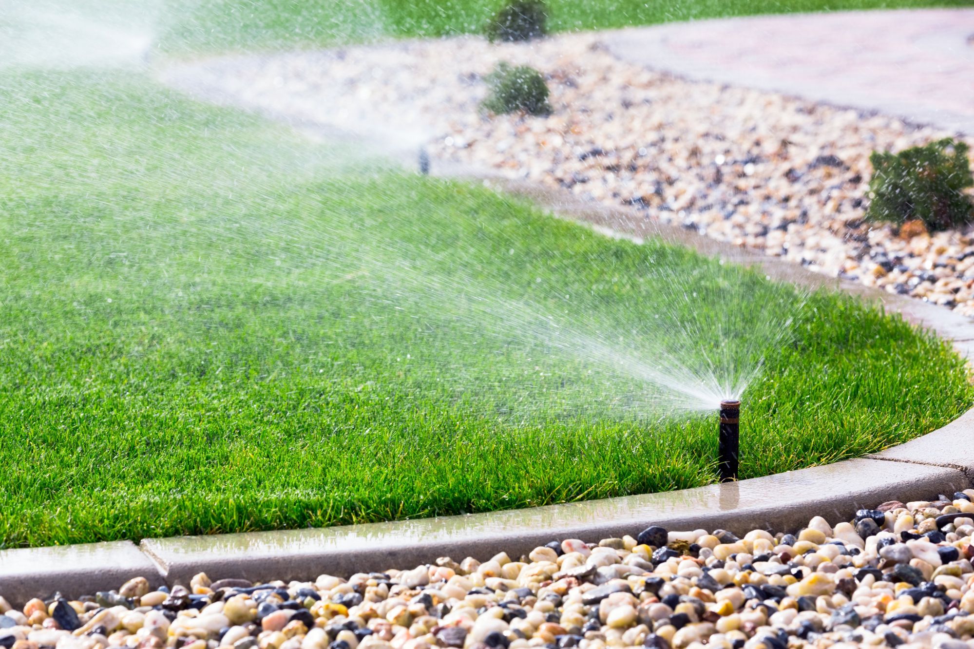 Residential lawn sprinkler system running in early morning in Boulder Colorado neighborhood following the city's daytime watering ban rules