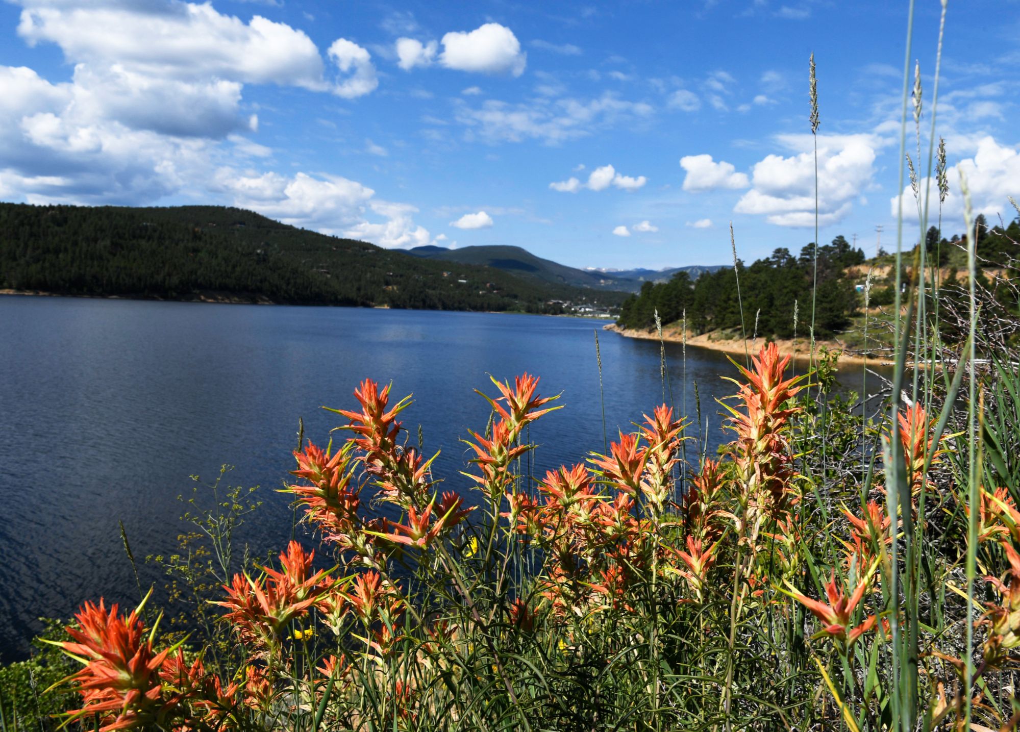 Barker Meadow Reservoir near Nederland Colorado in Boulder County, a primary water supply source for the City of Boulder