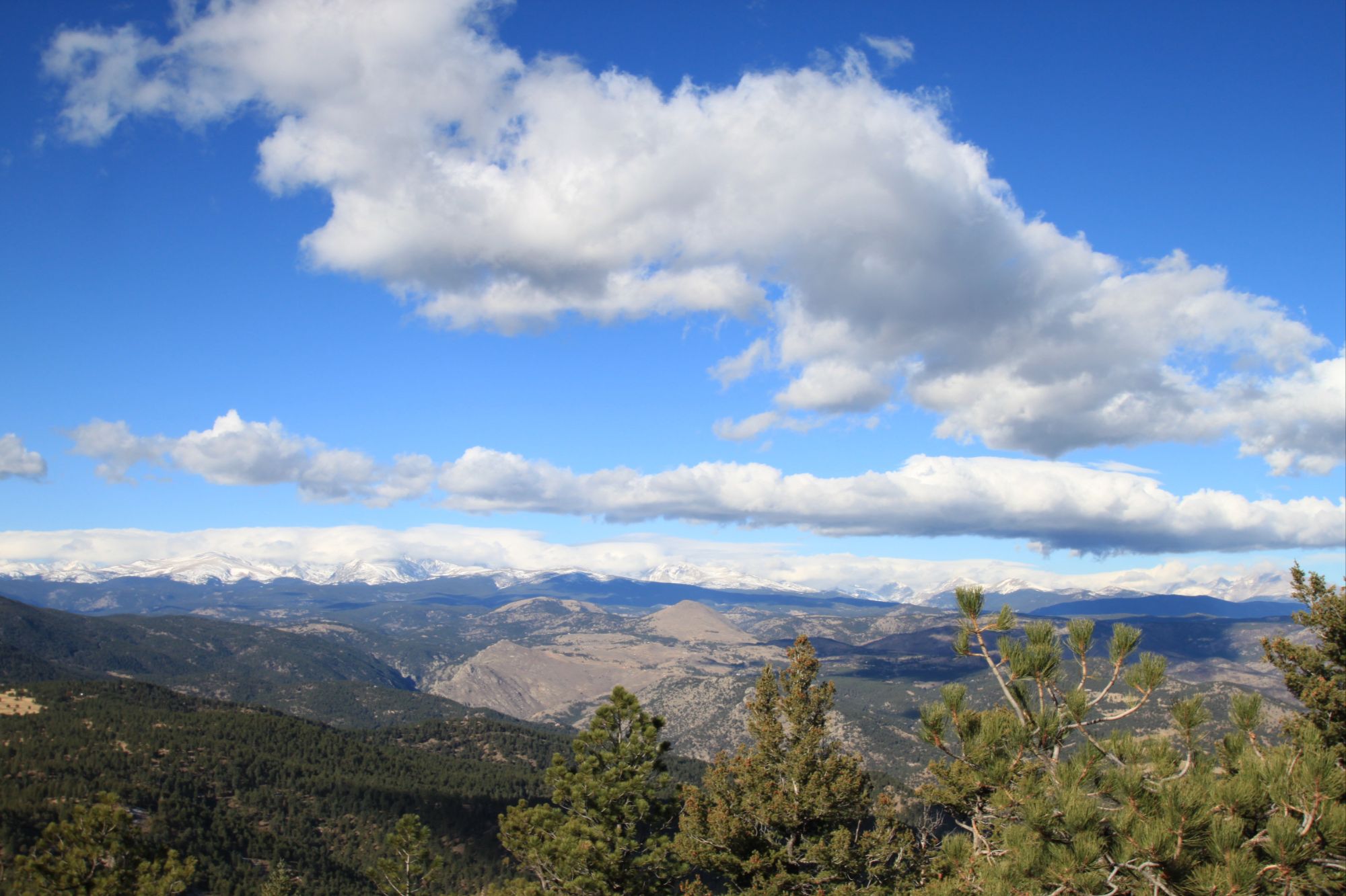 Tram Hill forest corridor west of Boulder Colorado showing the site of the city's fuel reduction project protecting drinking water and electrical infrastructure along Flagstaff Road