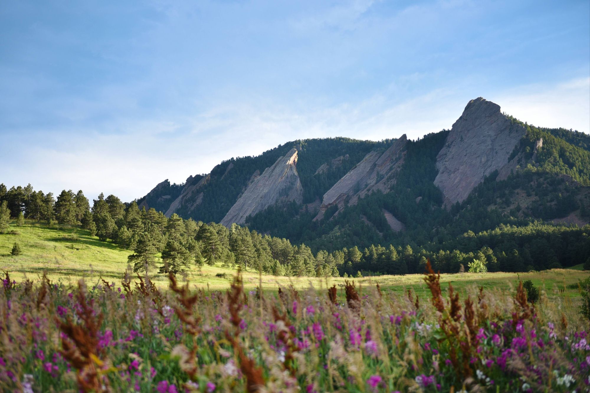 The Flatirons rising above Chautauqua Park in Boulder, Colorado.