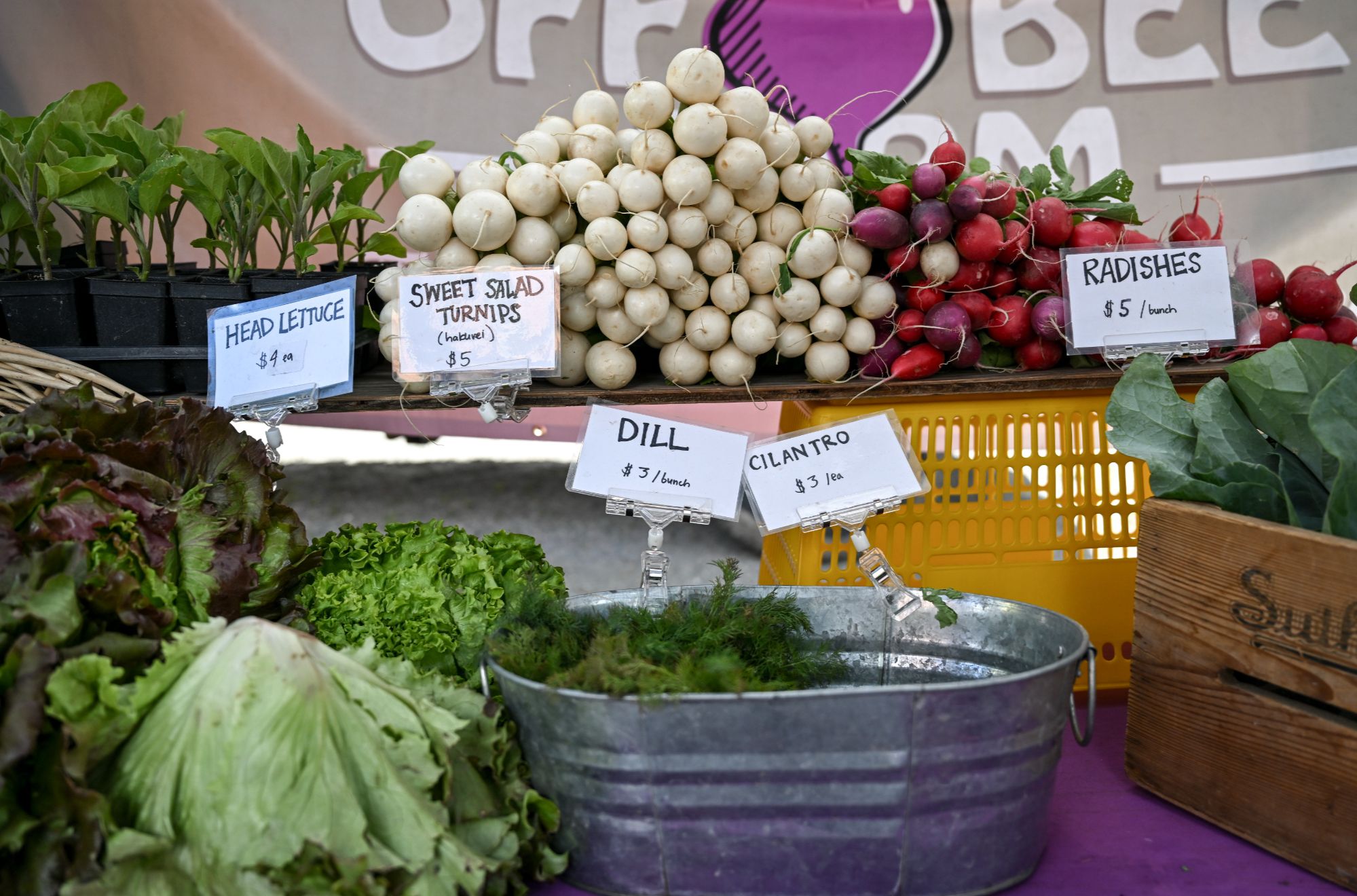 Seasonal Colorado produce from vendors at the Boulder Farmers Market.