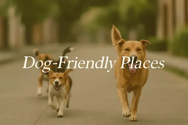 Dog-Friendly Places in Boulder, Colorado: Top Spots to Explore with Your Pup in 2025,Eric Farran