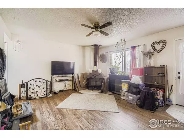 3740 Tyler Ave, Wellington, CO 80549