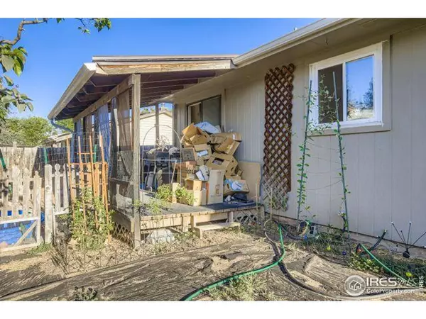 3740 Tyler Ave, Wellington, CO 80549