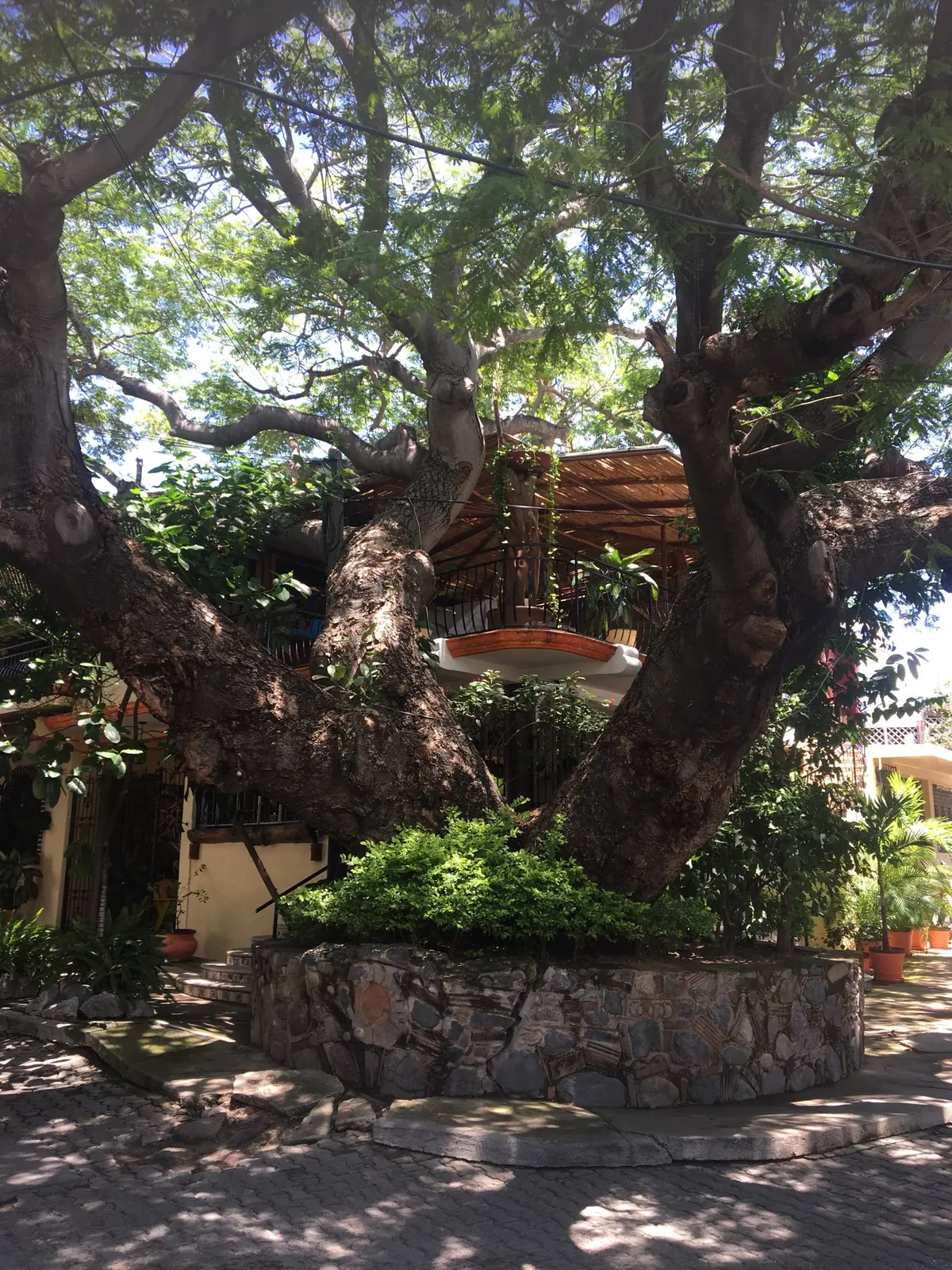 23 Sonora st.