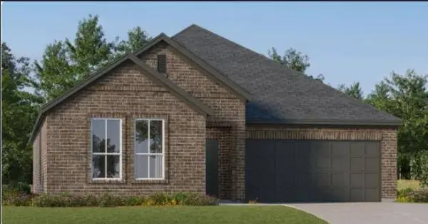 1904 Ponderosa Pine LN