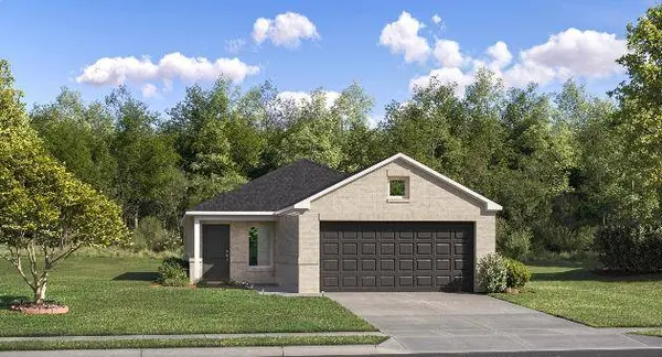 2000 Chestnut Oak CT