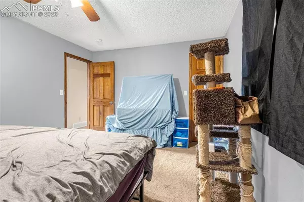 4453 Fenton RD, Colorado Springs, CO 80916