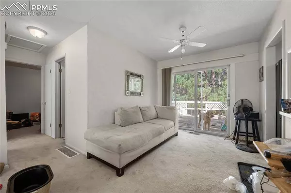 4016 Goldenrod DR, Colorado Springs, CO 80918