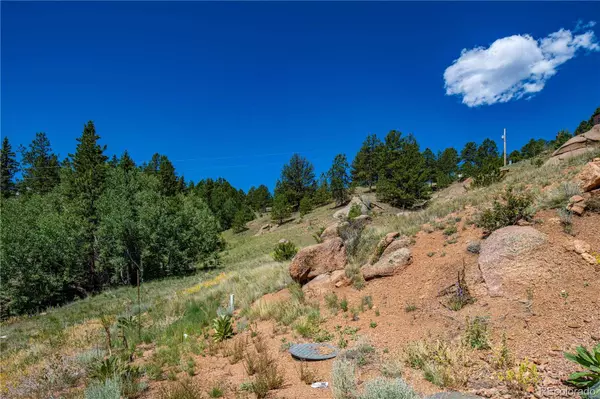 927 Stonehenge, Florissant, CO 80816