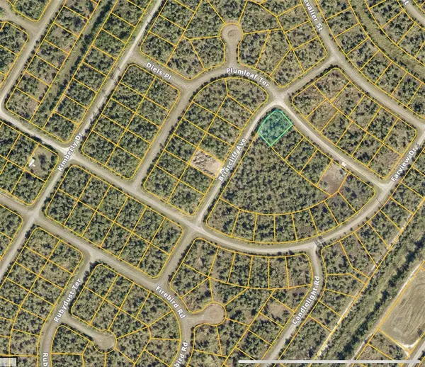 PLUMLEAF TER, North Port, FL 34288