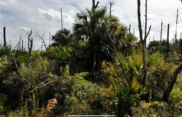 PLUMLEAF TER, North Port, FL 34288