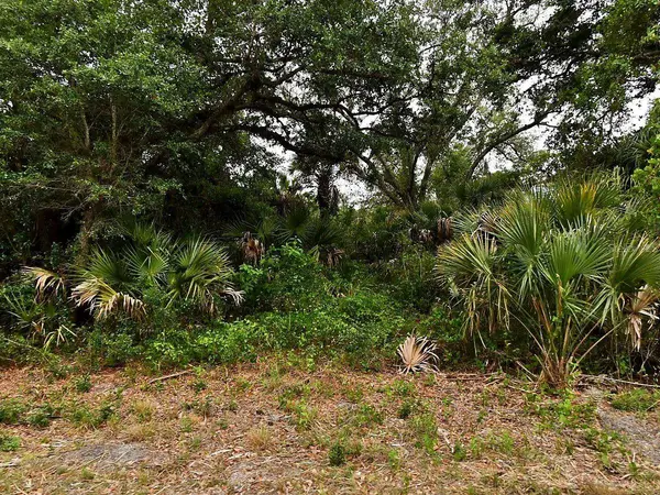 Lot 18 DUNSMUIR RD