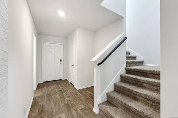 15350 Brown Violetear, San Antonio, TX 78253