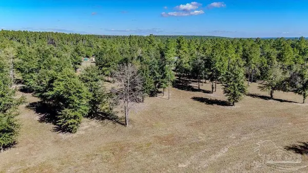 1400 Hwy 97, Molino, FL 32577