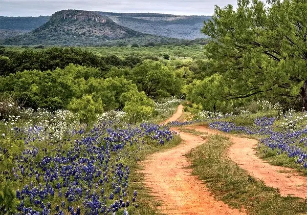 feature image of  Moving to the Texas Hill Country? Read This Before You Do Anything Else