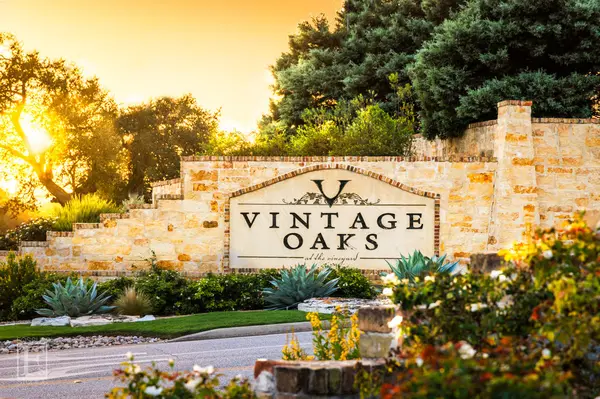 Is This $2 Million New Braunfels Home Really Worth It? My Honest Verdict on Vintage Oaks
