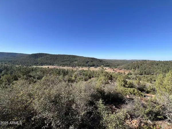 52 W Tomahawk Trail #52, Strawberry, AZ 85544