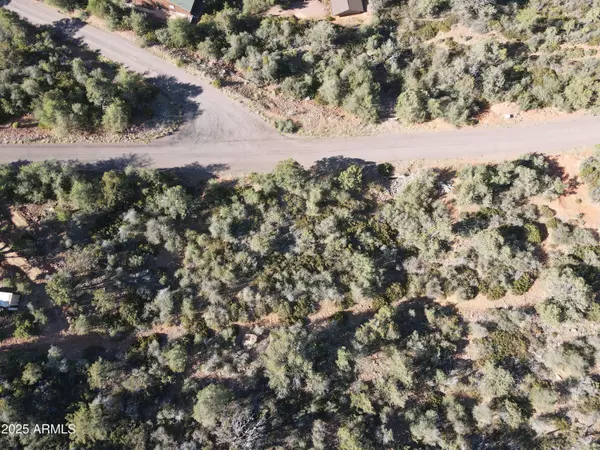 54 W TomaHawk -- #54, Strawberry, AZ 85544