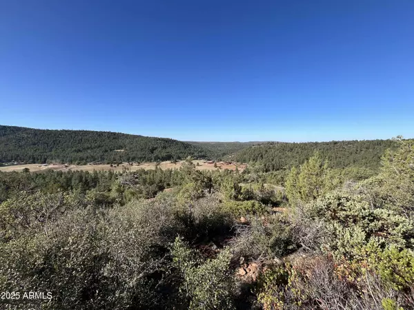 52 W Tomahawk Trail #52, Strawberry, AZ 85544