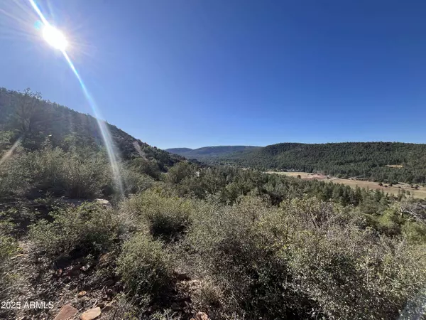52 W Tomahawk Trail #52, Strawberry, AZ 85544