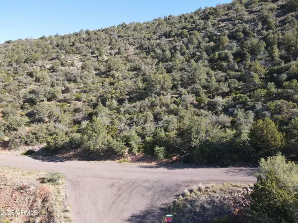 54 W TomaHawk -- #54, Strawberry, AZ 85544