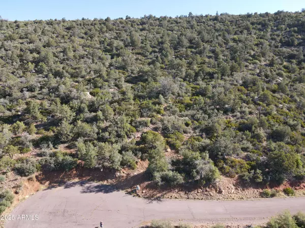 52 W Tomahawk Trail #52, Strawberry, AZ 85544