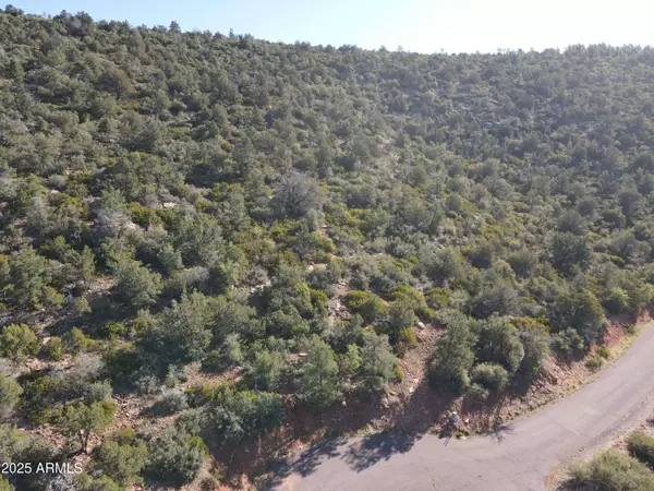 52 W Tomahawk Trail #52, Strawberry, AZ 85544