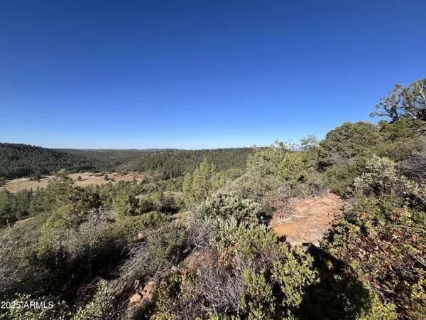 54 W TomaHawk -- #54, Strawberry, AZ 85544