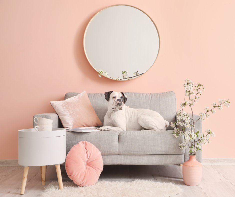 Happy dog relaxing in the living room of a Mesa Arizona home with a fenced backyard.