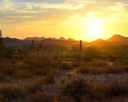 San Tan Valley AZ Mountain Horizon